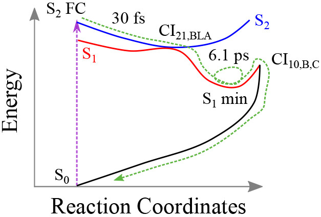 Thymine excited-state dynamics figure